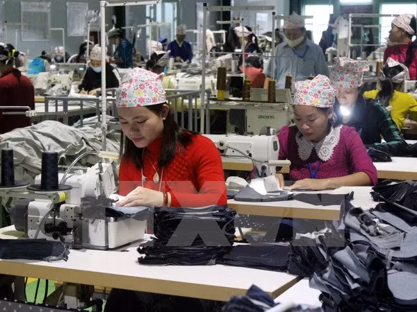 Premier: TPP creará fuerza motriz para avance socioeconómico de Vietnam ảnh 1