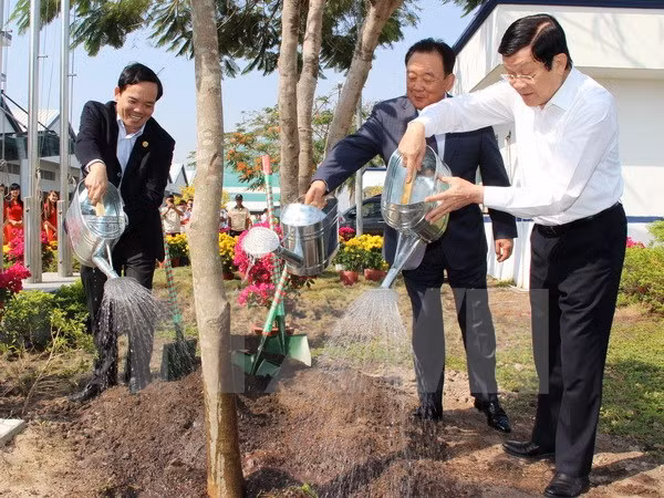 Presidente vietnamita llama a impulsar la plantación de árboles ảnh 1