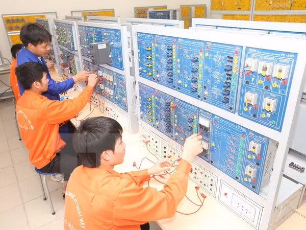 Vietnam intensifica la formación vocacional en 2016 ảnh 1