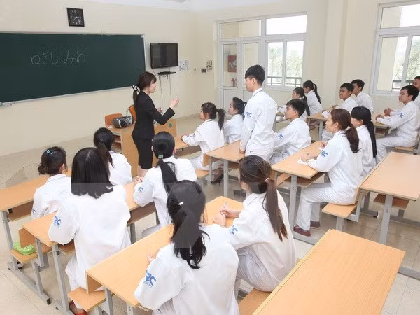Millones de trabajadores rurales vietnamitas recibirán formación profesional ảnh 1 Millones de trabajadores rurales vietnamitas recibirán formación profesional ảnh 1