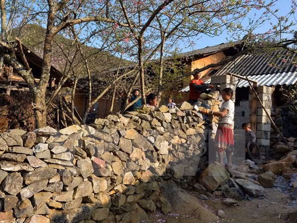 Meseta kárstica de Dong Van, belleza salvaje y magnífica ảnh 1