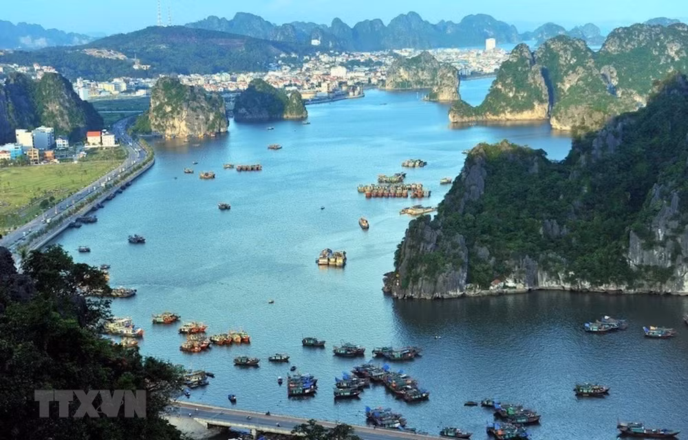 Continúan realizando programa “Bahía de Ha Long sin basura plástica” ảnh 1 Continúan realizando programa “Bahía de Ha Long sin basura plástica” ảnh 1