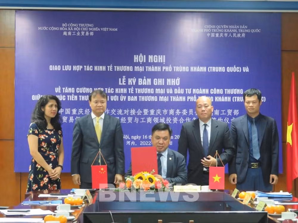 Vietnam y China promueven cooperación económica y comercial ảnh 1