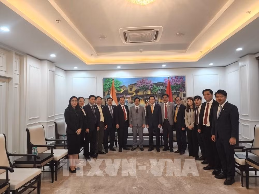 Binh Duong fortalece cooperación comercial con la India ảnh 2 Binh Duong fortalece cooperación comercial con la India ảnh 2