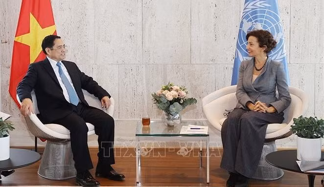 Resalta UNESCO cooperación con Vietnam como ejemplo eficaz ảnh 2