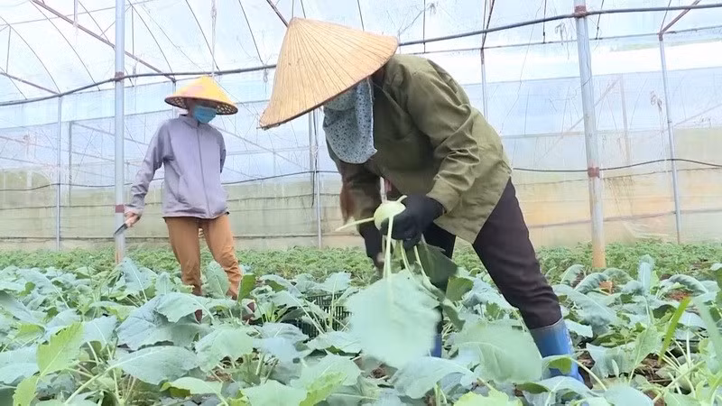 Vietnam logra grandes avances en reducción de la pobreza ảnh 1 Vietnam logra grandes avances en reducción de la pobreza ảnh 1