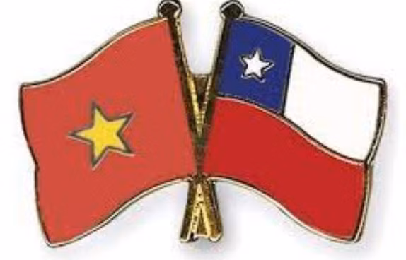 Vietnam, un socio confiable de Chile ảnh 1