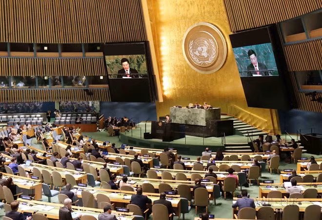 Vicepremier vietnamita resalta la solidaridad y cooperación internacional ảnh 1