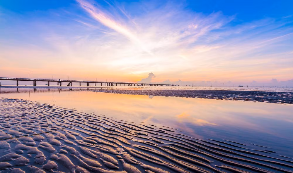 Provincia vietnamita de Tien Giang despierta potencial del ecoturismo marítimo ảnh 1