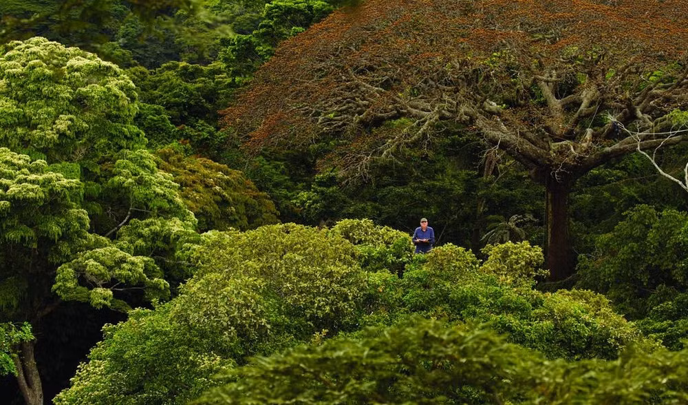 Celebrarán primer festival de cine sobre naturaleza en Vietnam ảnh 1