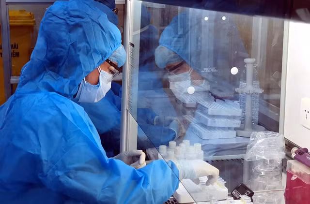 Vietnam reporta más de mil 300 casos de COVID-19 en domingo ảnh 1 Vietnam reporta más de mil 300 casos de COVID-19 en domingo ảnh 1