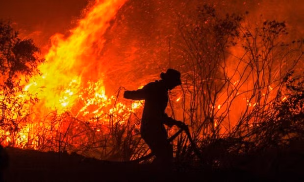 Impone Indonesia pago de compensación multimillonaria a culpables de incendios forestales ảnh 1 Impone Indonesia pago de compensación multimillonaria a culpables de incendios forestales ảnh 1