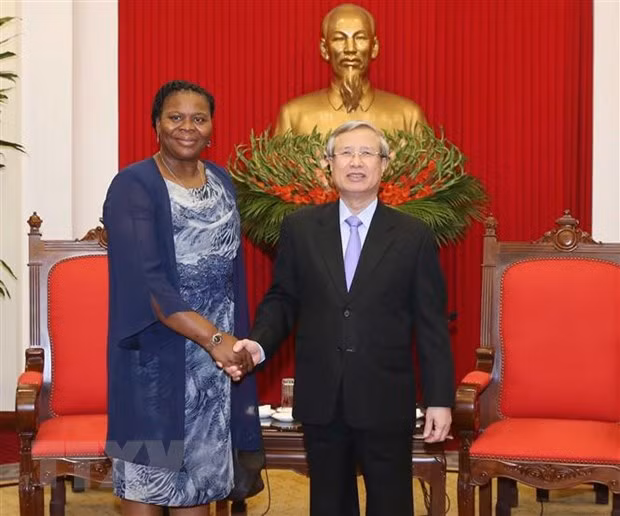 Prioriza Vietnam lazos con Mozambique, afirma alto funcionario del Partido ảnh 1
