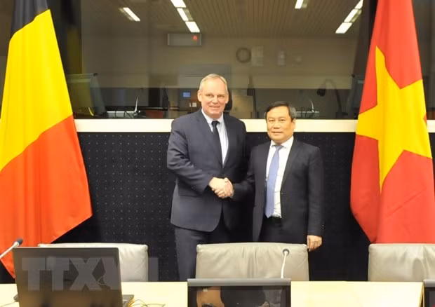 Intensifican Vietnam y Bélgica la cooperación económica ảnh 1