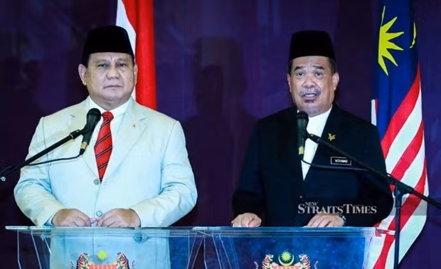 Intensifican Malasia e Indonesia cooperación en defensa ảnh 1