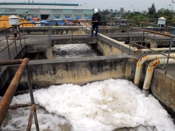 Busca Vietnam intensificar lazos con República Checa en conservación del entorno ảnh 1