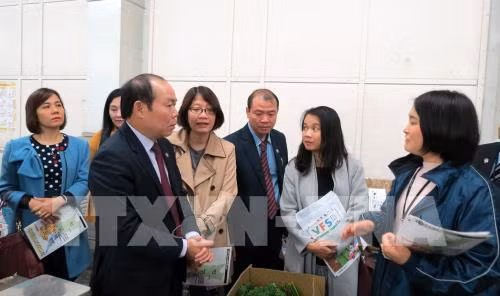 Desea Vietnam aprender del modelo japonés de cooperativas multiservicios ảnh 1