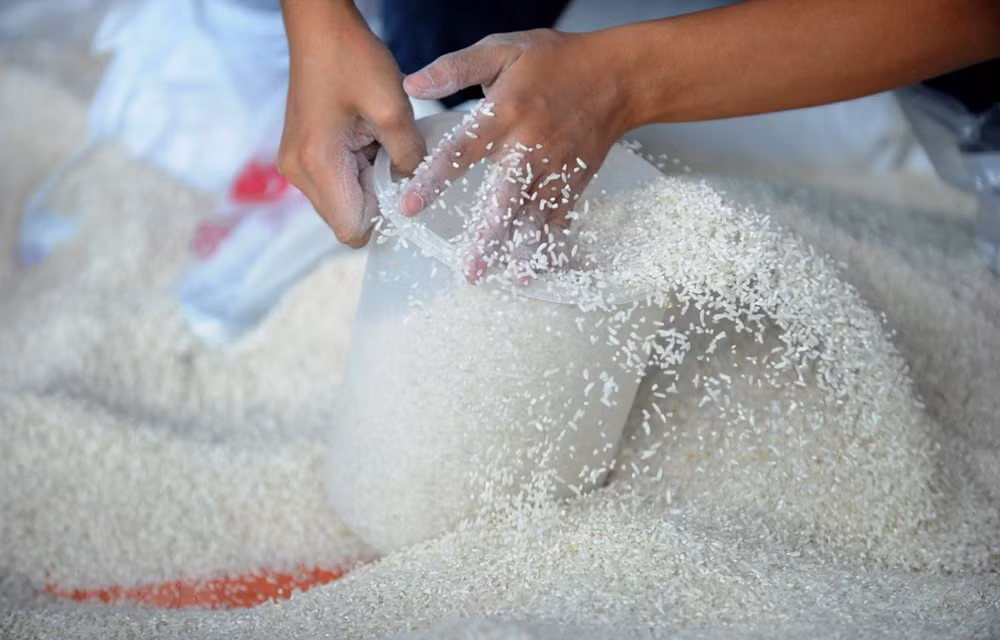 Ordena presidente de Filipinas suspensión de las importaciones de arroz ảnh 1 Ordena presidente de Filipinas suspensión de las importaciones de arroz ảnh 1