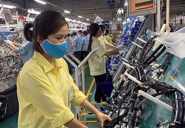 Provincia vietnamita Vinh Phuc apoya mejora de capacidad de producción de establecimientos ảnh 1