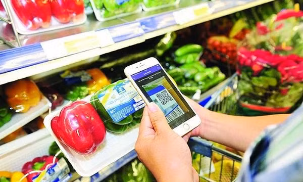 Vietnam busca garantizar bienestar de pobladores y estabilidad de mercado ảnh 1