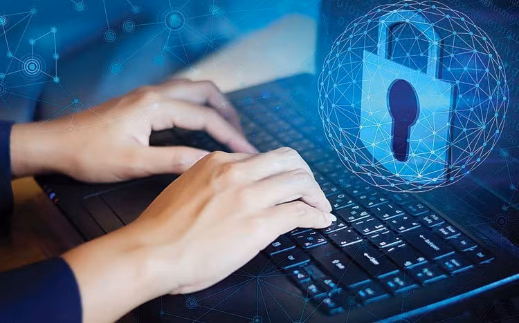 Vietnam impulsa el uso seguro de plataformas digitales ảnh 1