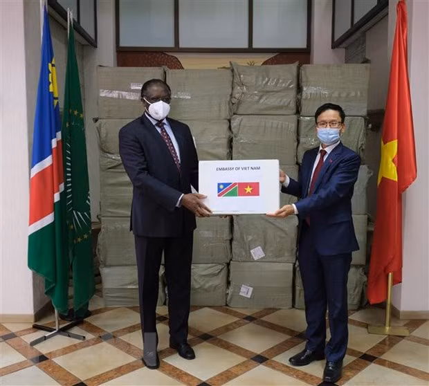 Vietnam apoya la lucha contra el COVID-19 en países africanos ảnh 1