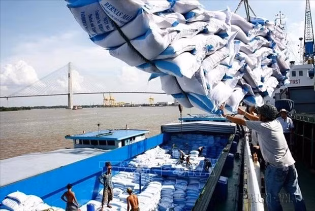 Indonesia importa 300 mil toneladas de arroz de Tailandia y Pakistán ảnh 1 Indonesia importa 300 mil toneladas de arroz de Tailandia y Pakistán ảnh 1