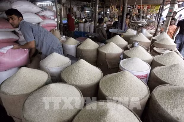 Indonesia planea establecer un fondo de emergencia para garantizar la seguridad alimentaria ảnh 1