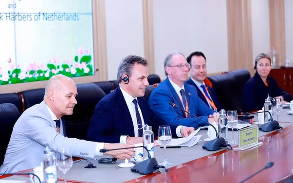 Vietnam y Países Bajos intercambian soluciones para desarrollo sostenible ảnh 1