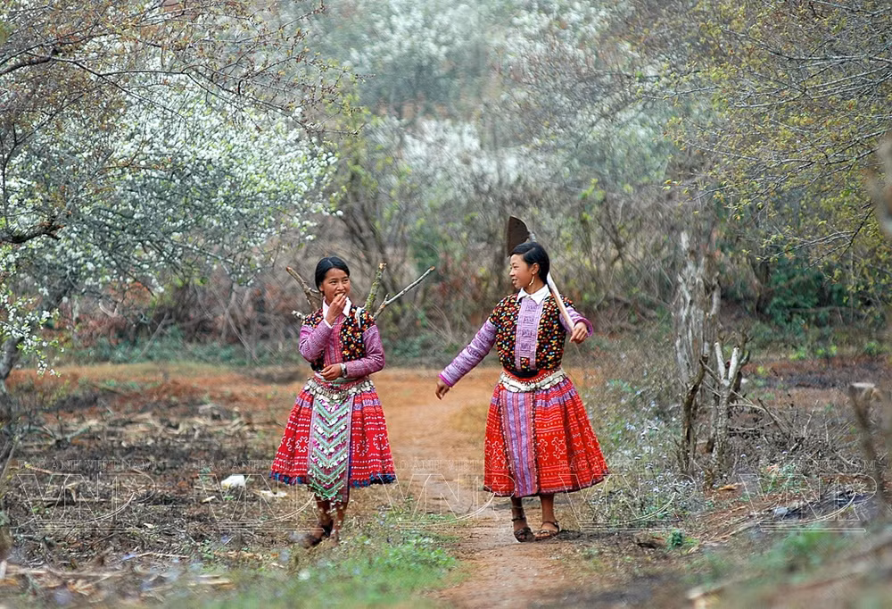 Prosperan tours de provincias norteñas de Vietnam ảnh 2