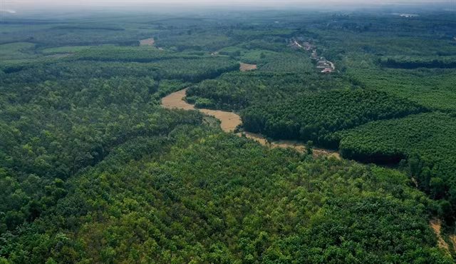 Día Mundial de la Vida Silvestre: Por la “salud” del planeta ảnh 1 Día Mundial de la Vida Silvestre: Por la “salud” del planeta ảnh 1