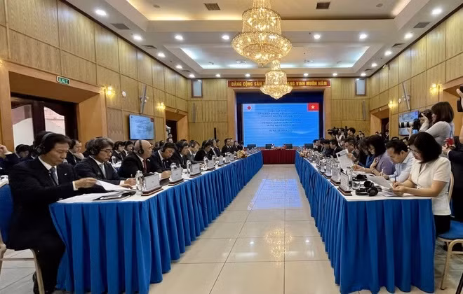 Lanzan iniciativa conjunta Vietnam-Japón en nueva era ảnh 1