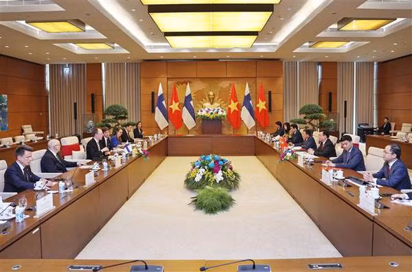 Vietnam concede importancia a amistad y cooperación con Finlandia ảnh 2