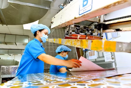 Empresas vietnamitas tienen posibilidades de impulsar industrias de apoyo ảnh 2