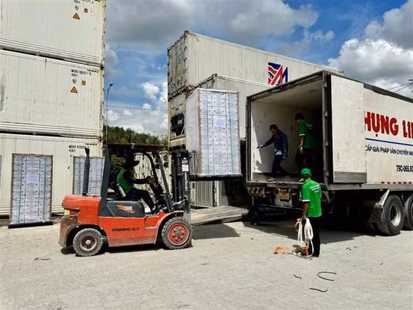 Vietnam exporta primer lote de néctar de coco a EE.UU. ảnh 1