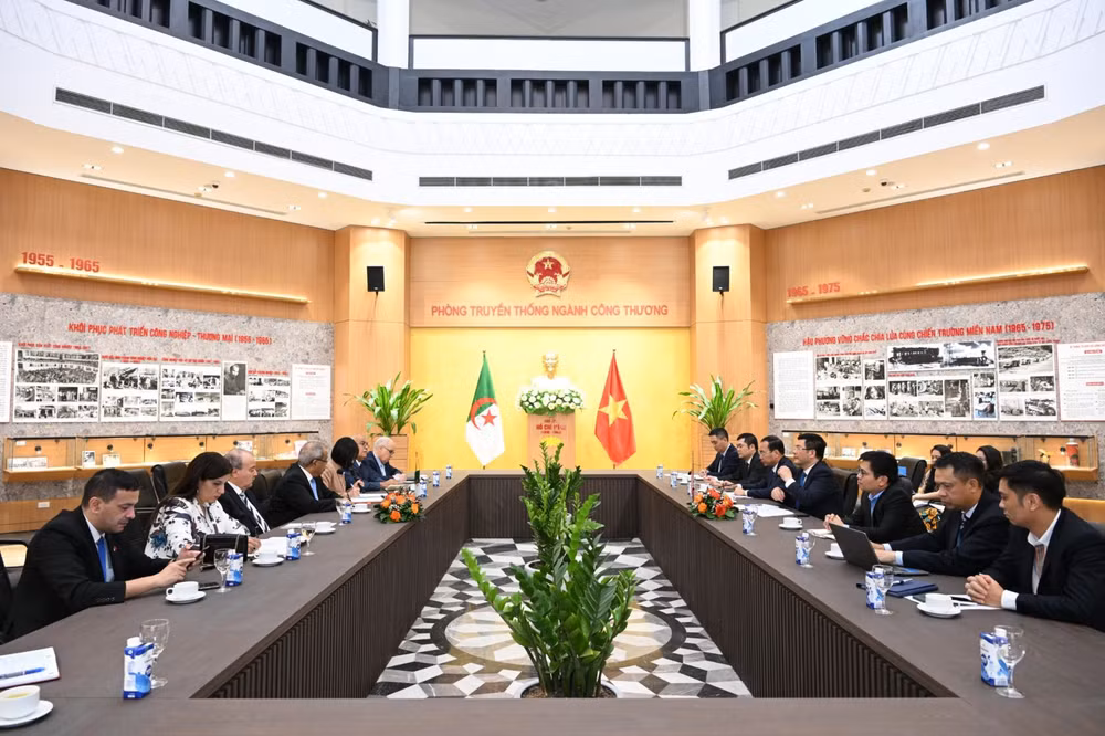 Vietnam y Argelia poseen potencial para lazos en comercio, industria y energía ảnh 1