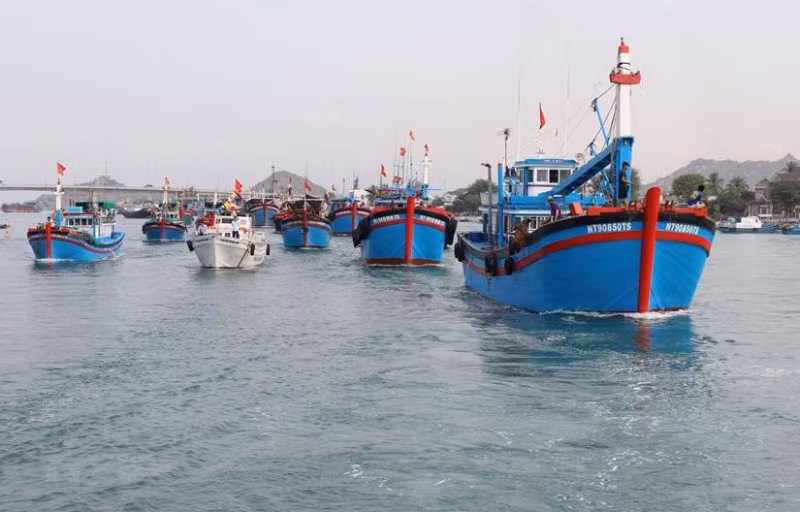 Vietnam implementa recomendaciones de CE por levantar tarjeta amarilla ảnh 1