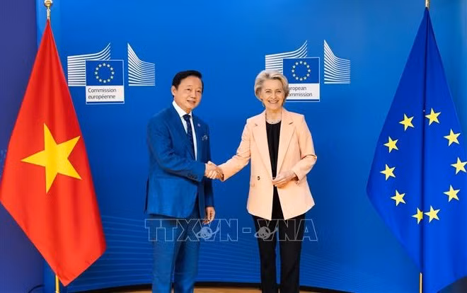 Vietnam dispuesto a cooperar con otros países por el desarrollo sostenible ảnh 2