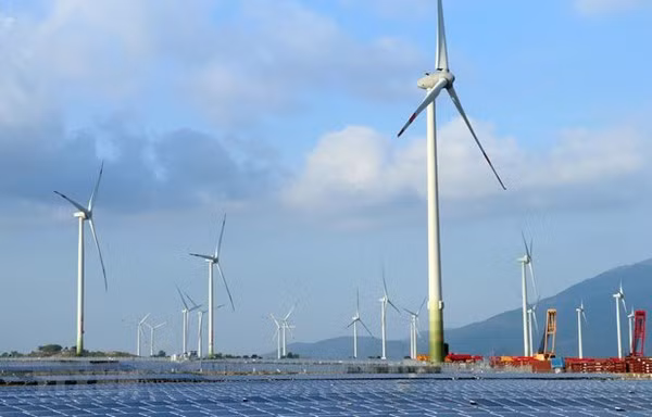 Empresa de Singapur importa energía renovable de Vietnam ảnh 1