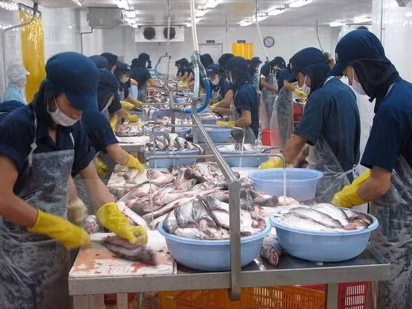 Empresas belgas amplían la inversión en Vietnam ảnh 1