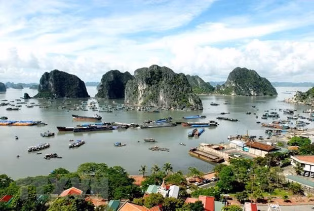 Abren en Vietnam servicio para contemplar la bahía de Ha Long desde helicópteros ảnh 1 Abren en Vietnam servicio para contemplar la bahía de Ha Long desde helicópteros ảnh 1