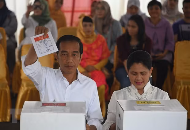 Anuncian reelección de Joko Widodo como presidente de Indonesia ảnh 1