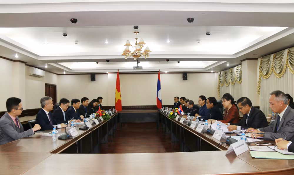 Impulsan especiales nexos de amistad entre Vietnam y Laos ảnh 1