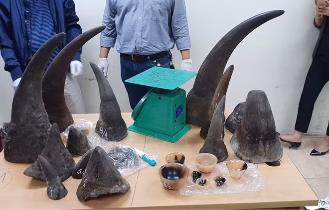 Promueven en Vietnam las investigaciones sobre el tráfico de animales silvestres ảnh 1 Promueven en Vietnam las investigaciones sobre el tráfico de animales silvestres ảnh 1