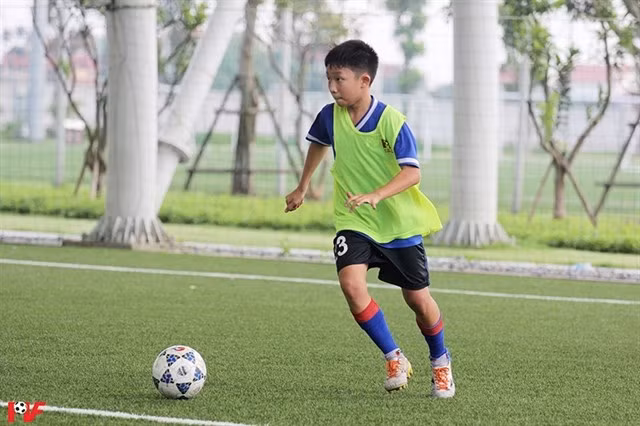 Asistirán jóvenes jugadores de Vietnam al programa social Football for Friendship en España ảnh 1
