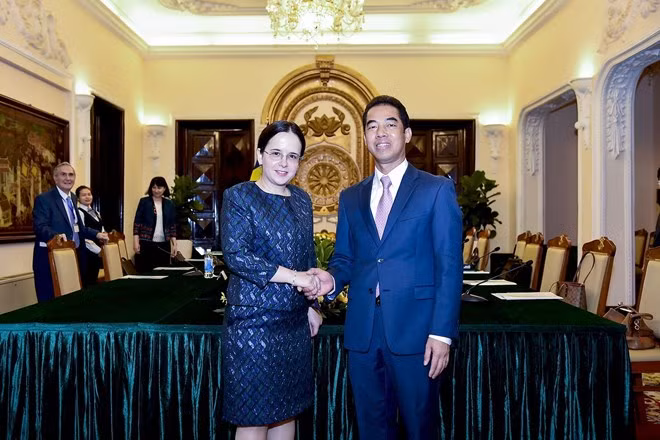 Vietnam y Rumania celebran consulta política en Hanoi ảnh 1
