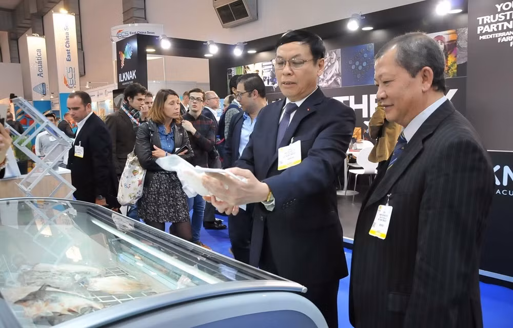 Productos acuícolas de Vietnam buscan posicionarse en el mercado europeo ảnh 1 Productos acuícolas de Vietnam buscan posicionarse en el mercado europeo ảnh 1