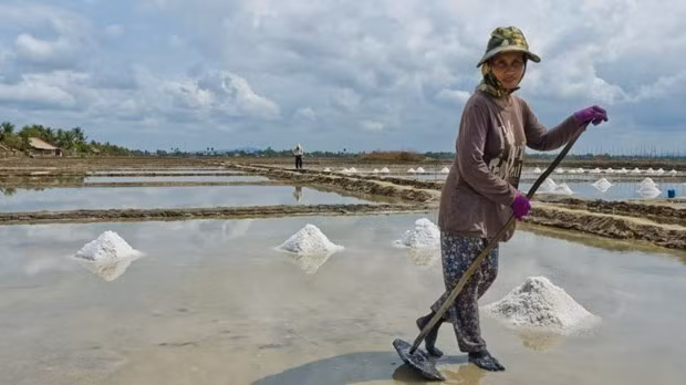 Camboya podría enfrentar escasez de sal este año ảnh 1 Camboya podría enfrentar escasez de sal este año ảnh 1