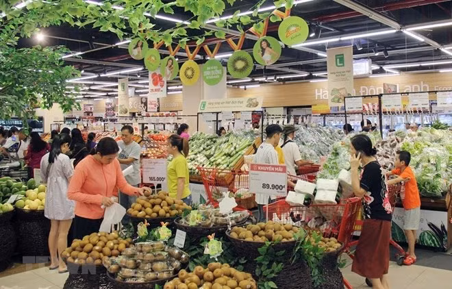 Prevé Vietnam implementar moderna red de suministro agrícola ảnh 2