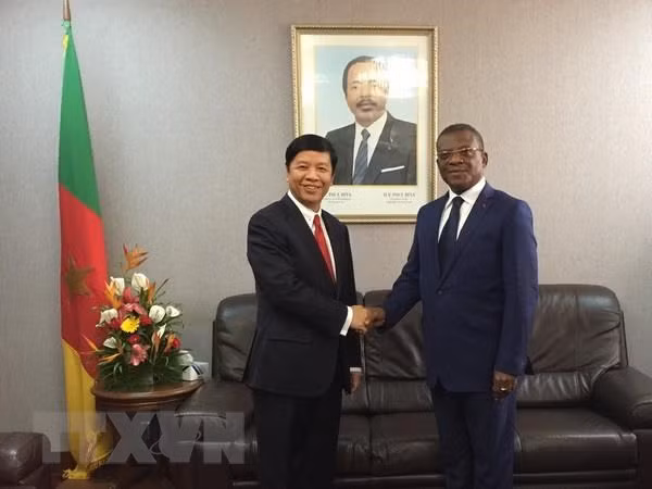 Proyecta Vietnam ampliar sus relaciones con la República de Camerún ảnh 1